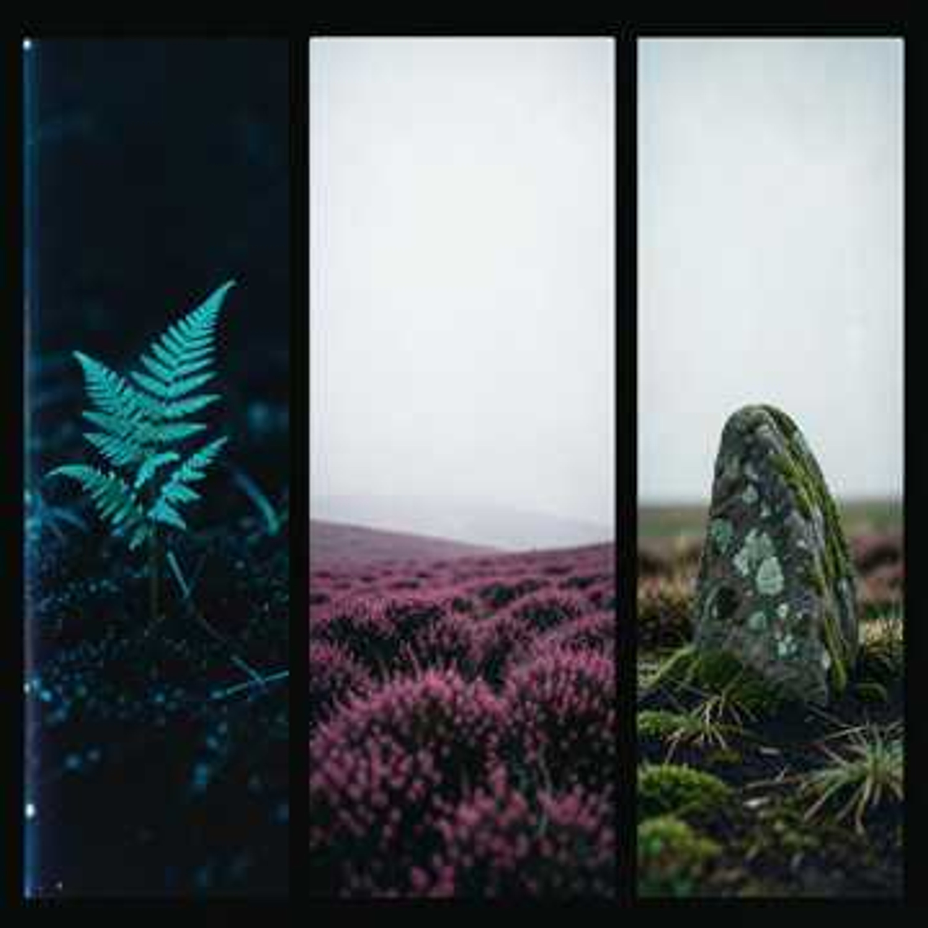 Whispering Voids — Stillwater Drift
