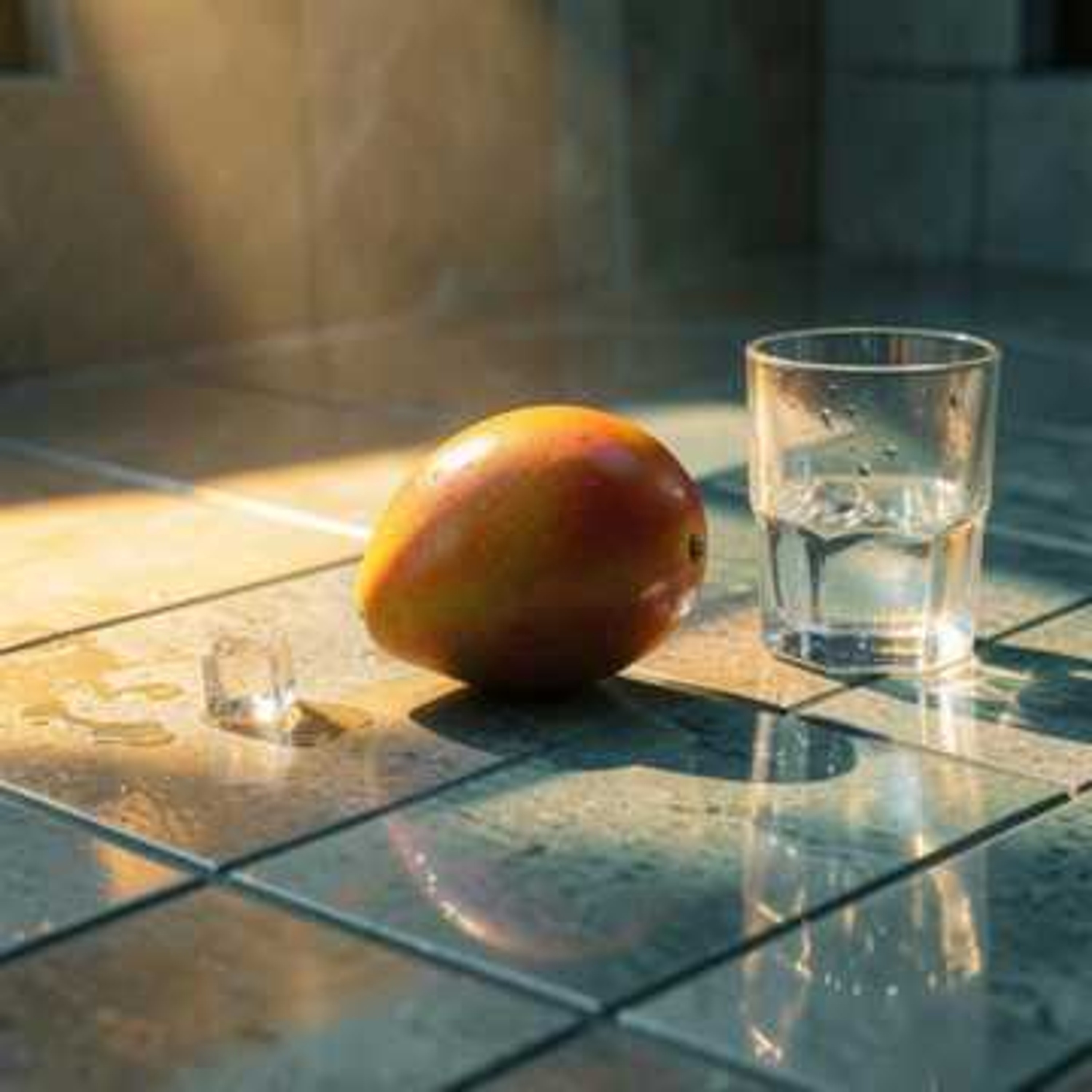 Mango Floor — TEHSO